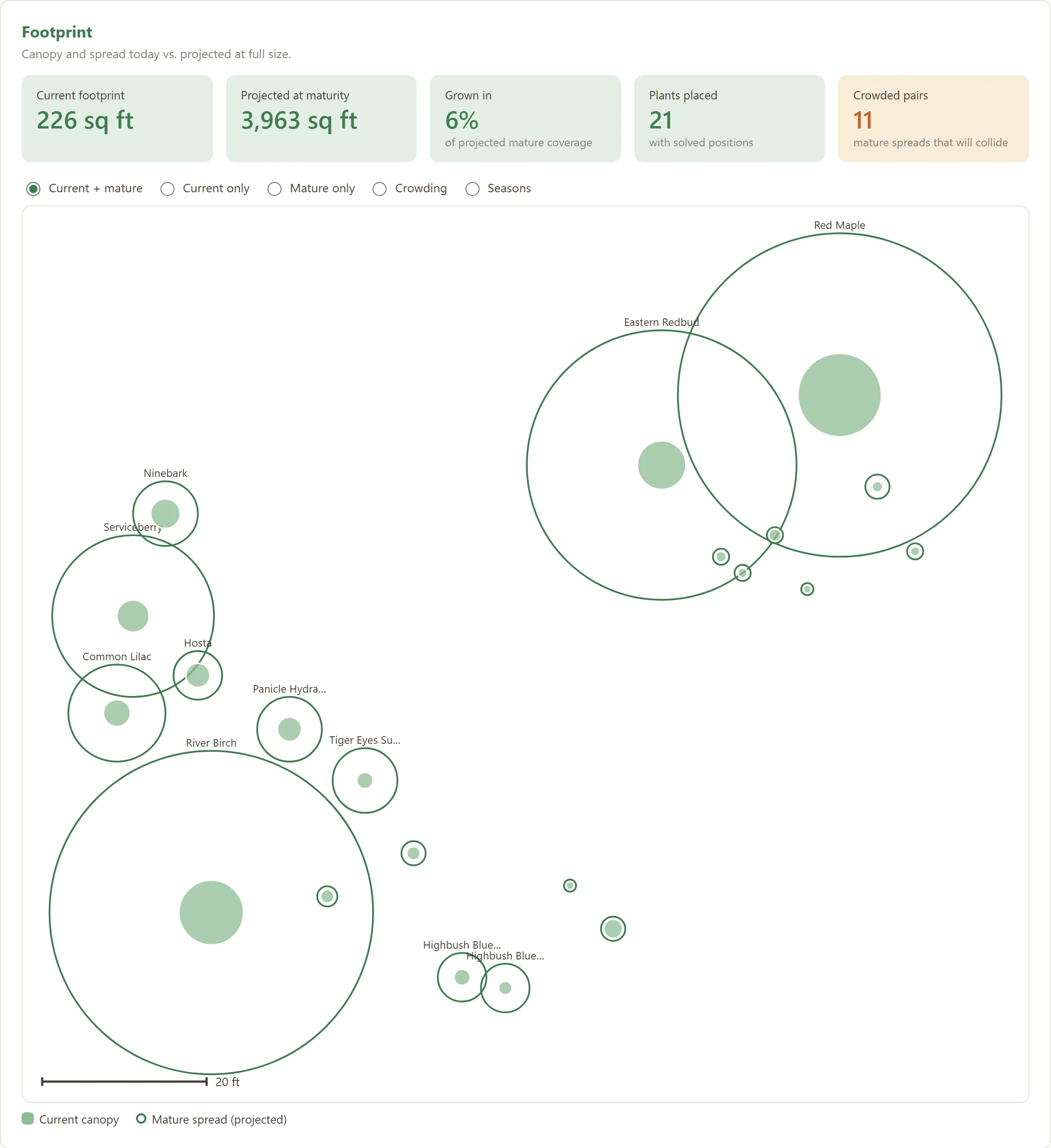Dashboard footprint map: every plant drawn at today's size inside its full-grown spread, with stat tiles for current and projected footprint